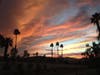 Palm Desert