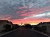 Palm Desert