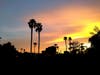 Palm Desert