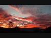 Palm Desert