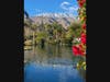 A view of Mt. San Jacinto.