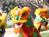 The 2020 Chinese New Year celebration at Temecula Valley Museum.