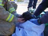 The family dog was rescued from the blaze.