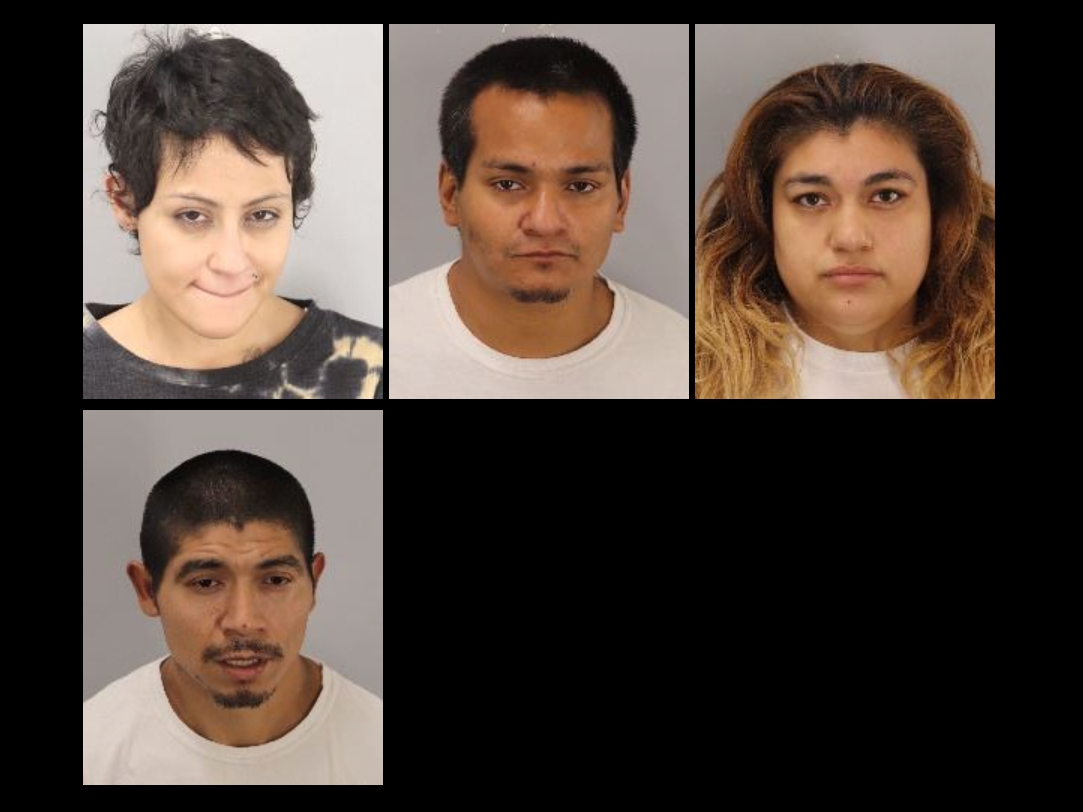 Clockwise from top left: Devon Montoya, Jose Perez, Sarah Cantu, and Phillipe Gonzalez.