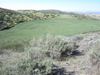 A southwest view from within the project area, looking toward Washington Street in French Valley.