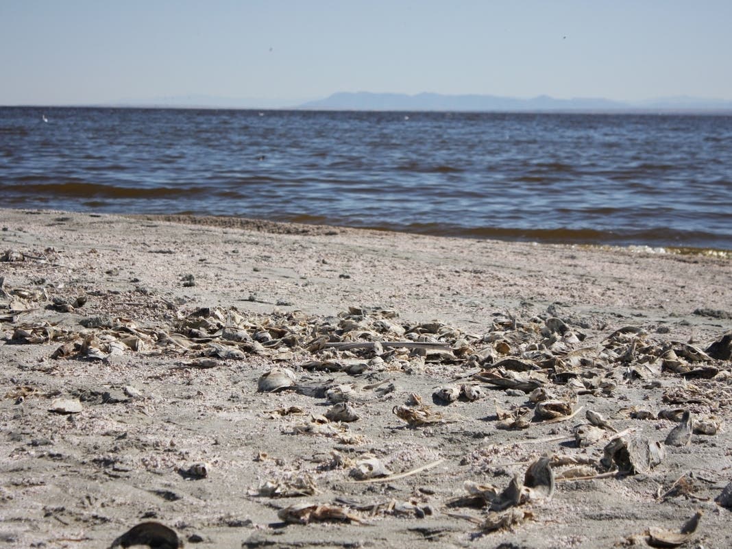 The Salton Sea (file).