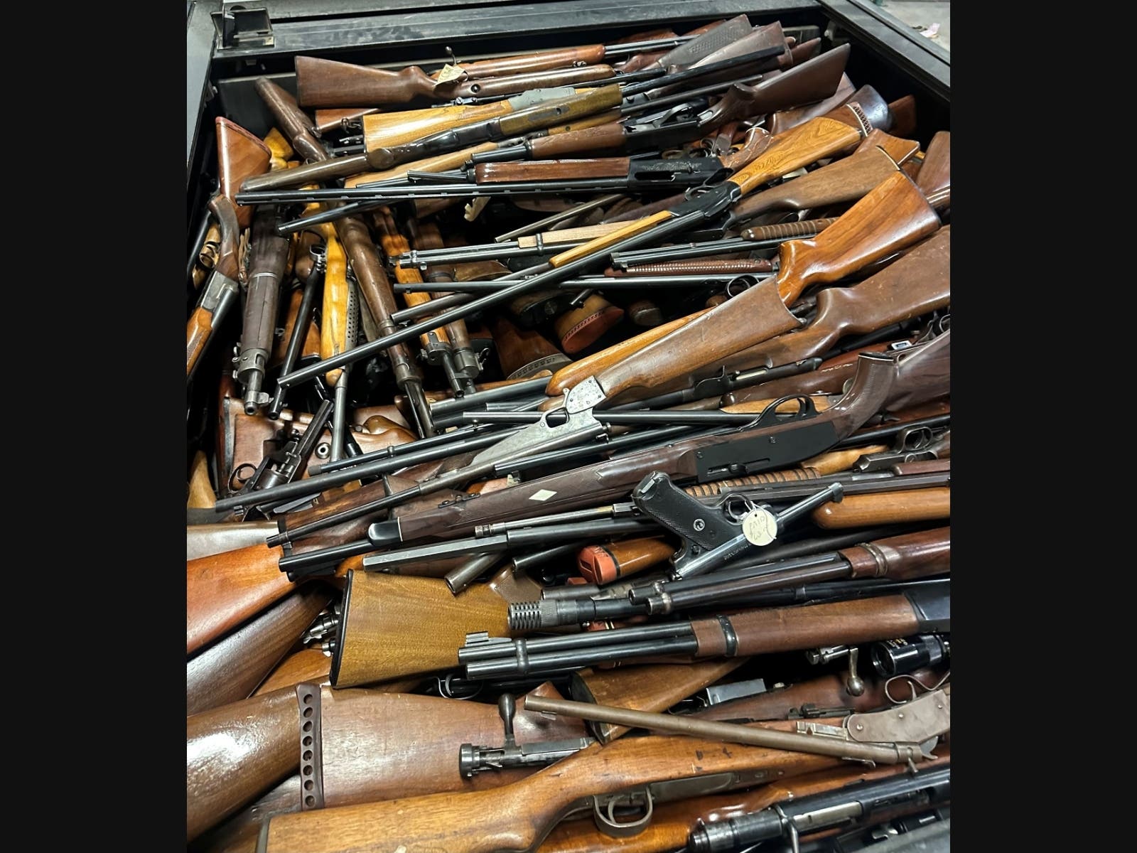 Firearms allegedly seized during the April 17 investigation in Homeland.