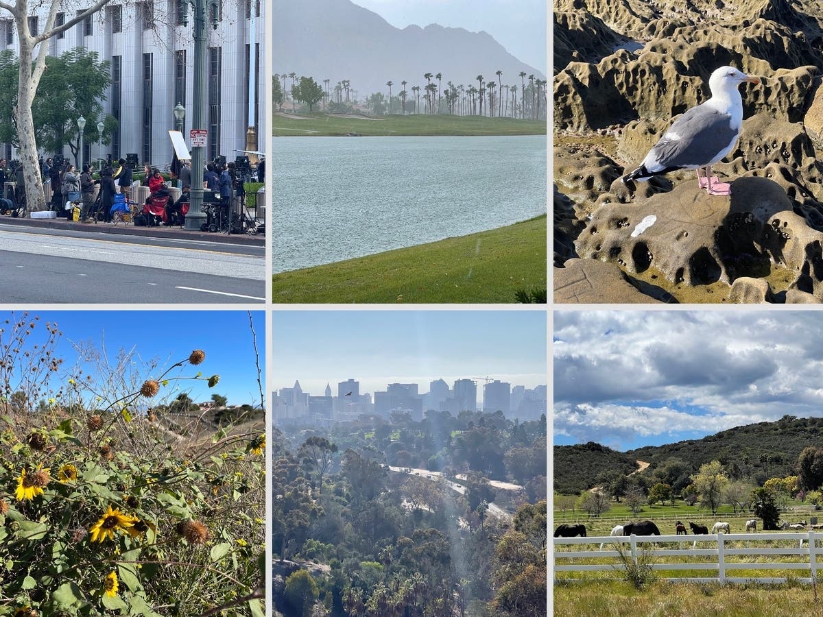 California's population figures are as diverse as its landscape.