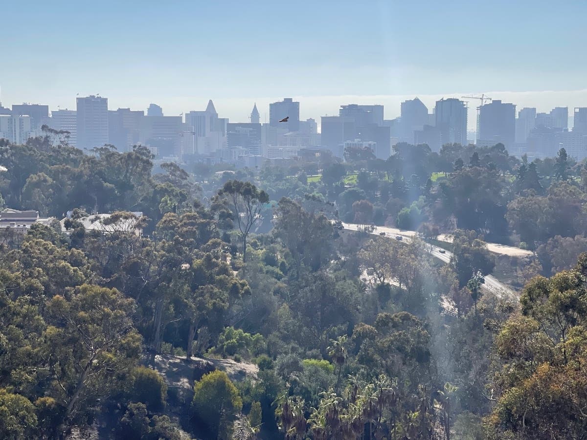 The 2025 Government Compensation in California analysis shows how taxpayer funds were spent in the previous year and who was receiving what for being on the public payroll.