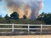 The Volcano Fire as viewed from La Cresta.