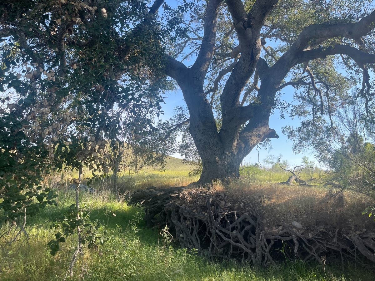 "The people who visit and enjoy our parks bring valuable perspectives about what is working well, what may be needed and where opportunities exist for the future," Riverside County Supervisor Jose Medina said in a statement.