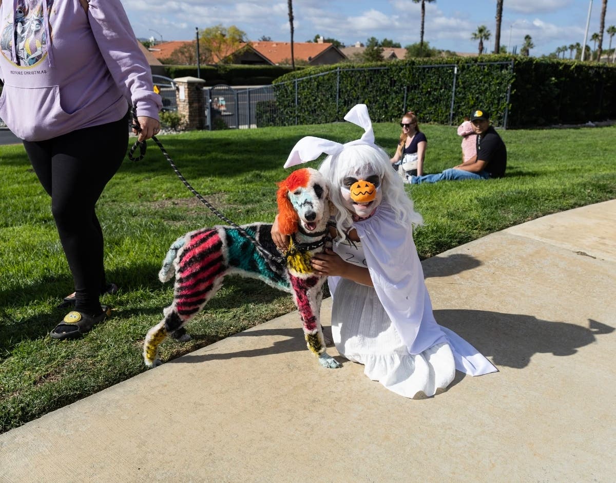 Pets and their humans can compete in the costume contest at the 11th Annual Dog Daze Canine Festival on Oct. 3 at Aldergate Dog Park in Menifee.
