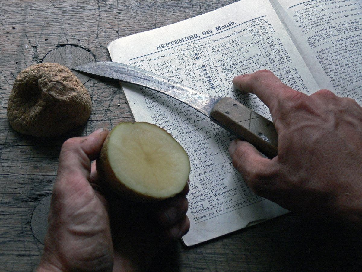 https://patch.com/img/cdn20/users/99513/20170214/024818/styles/raw/public/article_images/01_-_wart_cure_potato_for_website-1487101603-3368.jpg
