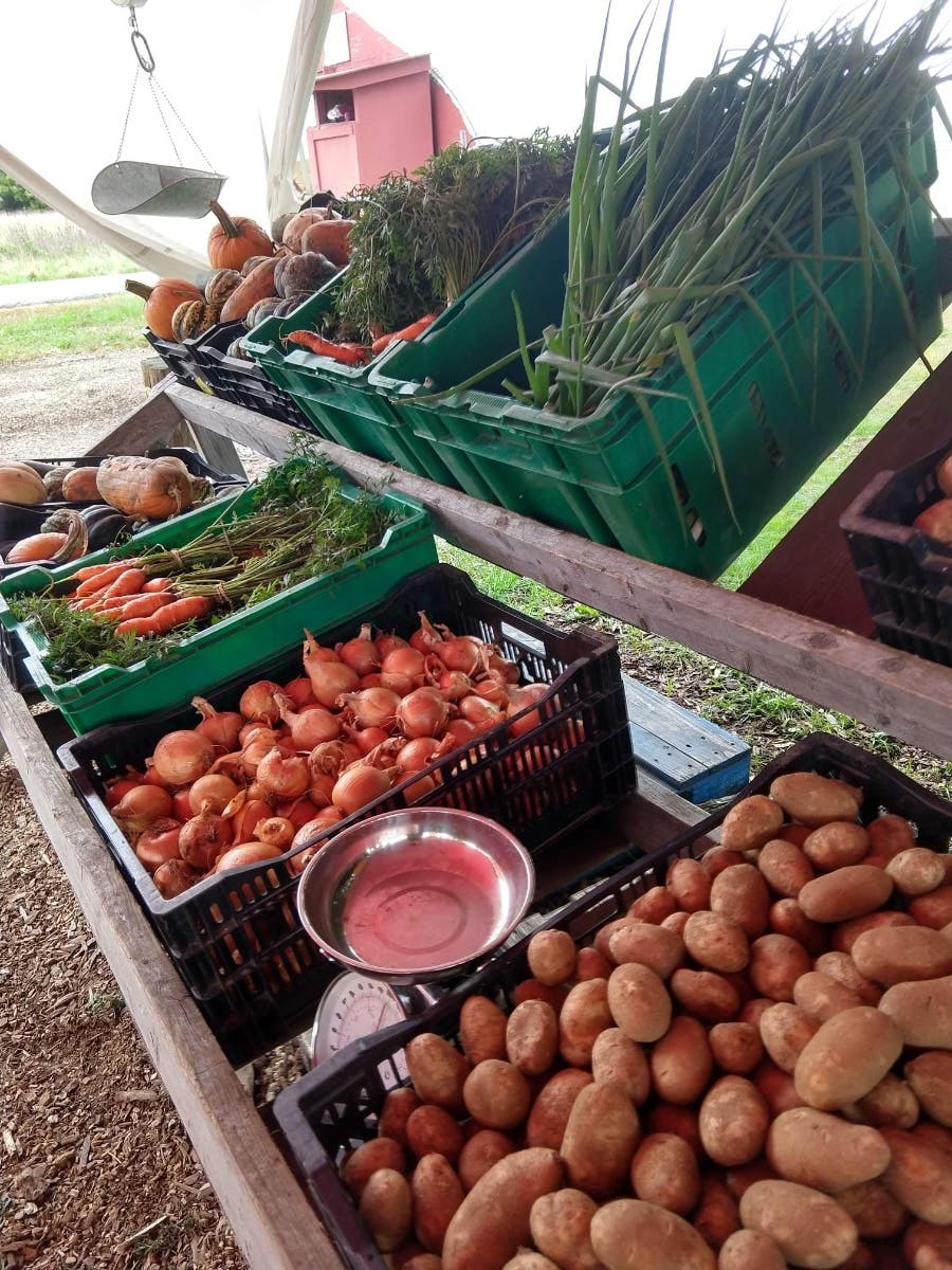 smart outdoors canton ma on Canton Neighbor Posts Canton Ma Patch