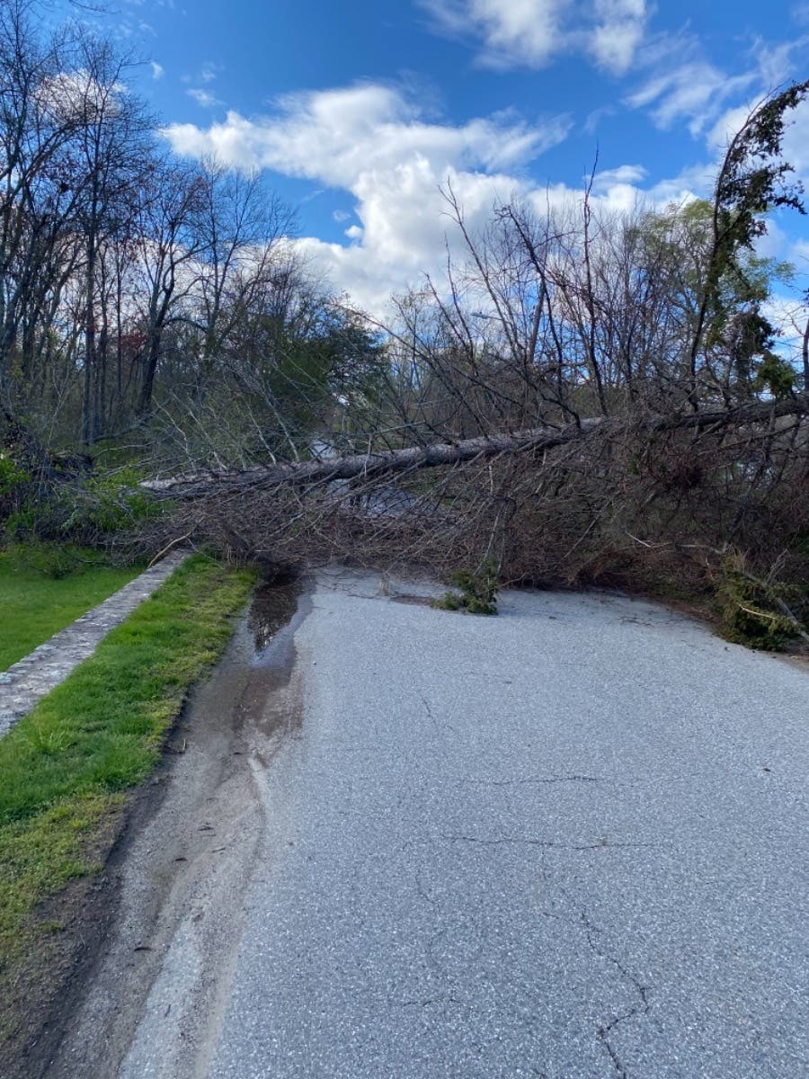 metropolitan ave in ashland totally block by fallen tree - Vimarsana News