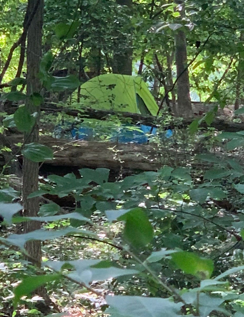 Catonsville Neighbor Posts | Catonsville, MD Patch